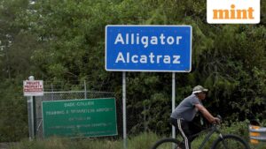 Detainees at Florida’s Alligator Alcatraz transferred in other locations as detention centre seemingly to be closed, says ICE
