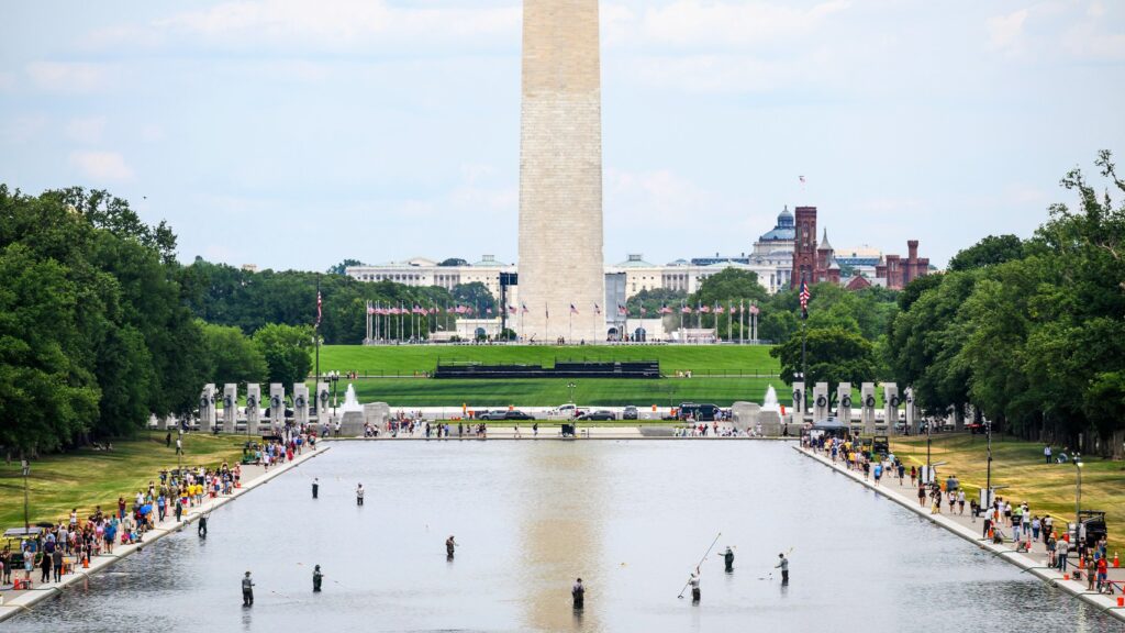 Steer obvious of the DC Reflecting Pool Grief in Your Accept as true with Backyard With These Guidelines