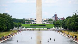 Steer obvious of the DC Reflecting Pool Grief in Your Accept as true with Backyard With These Guidelines