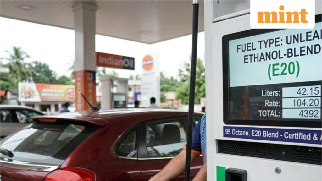 E20 petrol woes persist: 6 in 10 pre-2023 automobile homeowners file over 10% mileage plunge, witness finds