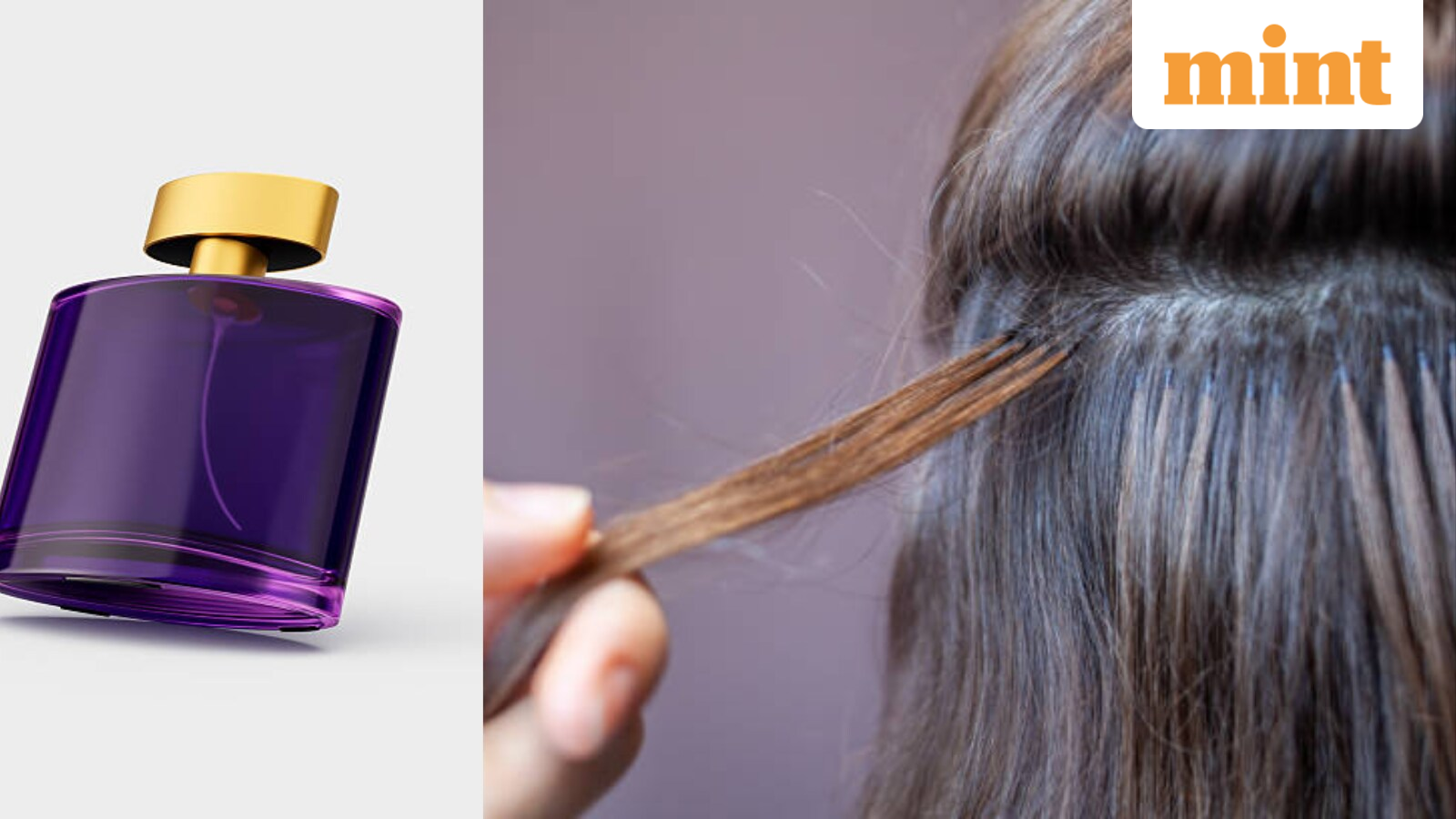 Iran’s ‘survival economic system’: Households promote empty perfume bottles, pure hair for earnings