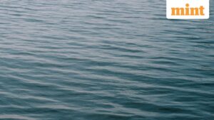 Flesh-arresting micro organism alert in Louisiana: Vibrio vulnificus cases rise; 5 folk die after publicity to seawater