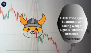 FLOKI Tag Eyes $0.000030 as Falling Wedge Indicators Probably Breakout