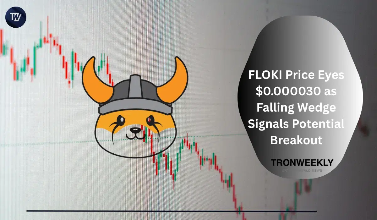 FLOKI Tag Eyes $0.000030 as Falling Wedge Indicators Probably Breakout