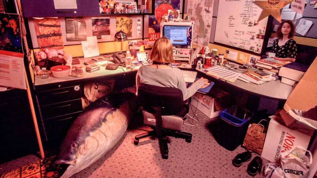 Yahoo, the web’s ‘OG’, wants to fetch over Gen Z
