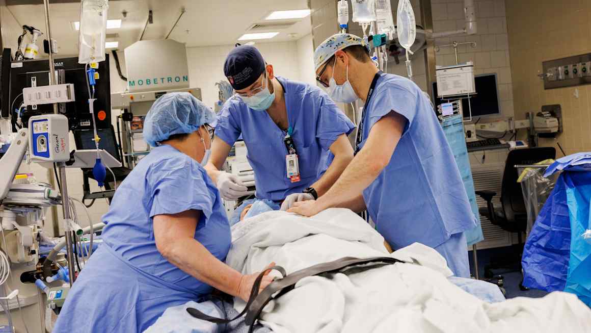 Pig kidneys efficiently transplanted into humans