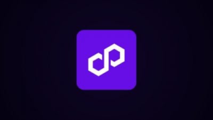 Polygon permits crypto donations to Nepal’s Difficulty Aid Fund