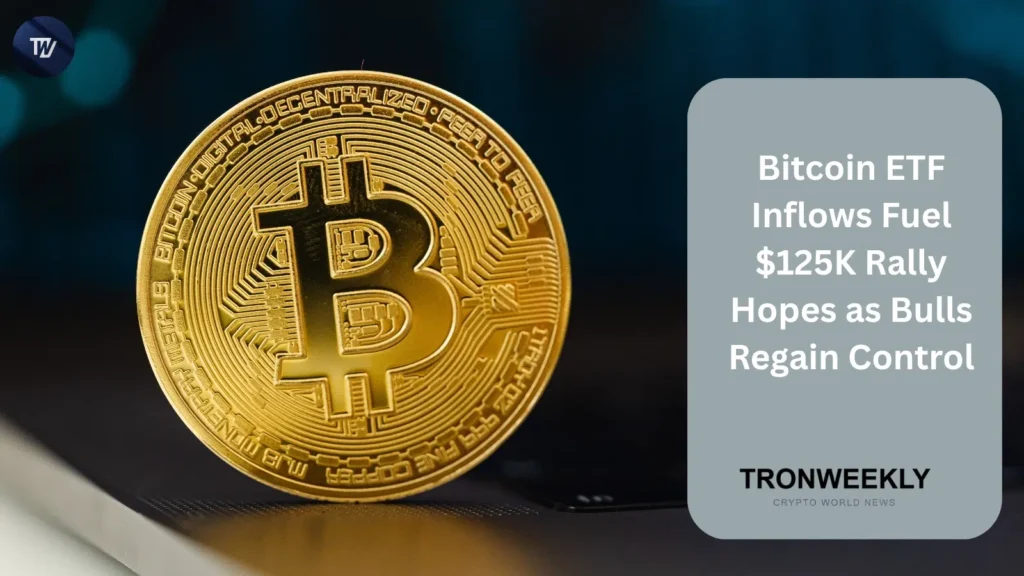 Bitcoin ETF Inflows Fuel $125K Rally Hopes as Bulls Accept Preserve watch over