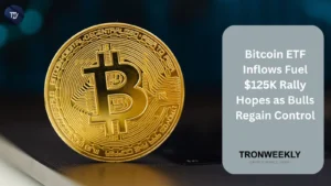 Bitcoin ETF Inflows Fuel $125K Rally Hopes as Bulls Accept Preserve watch over