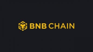BNB Chain prioritizes sustainable swap gadgets over gas price cuts