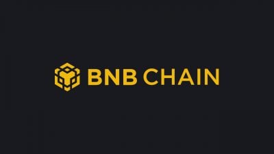 BNB Chain prioritizes sustainable swap gadgets over gas price cuts