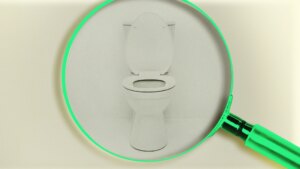 New Sight: The Secret to Slower Mind Ageing Could well well additionally Be in Your Poop 