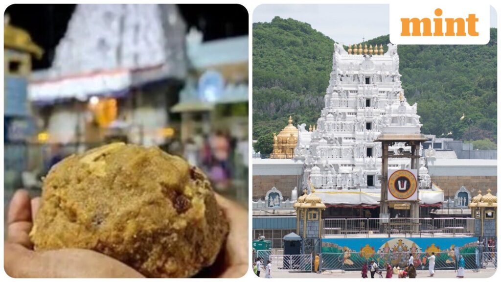 TTD Data: Who’s Kailash Chand Manglam? ED arrests vendor in Tirupati Laddu ghee adulteration case