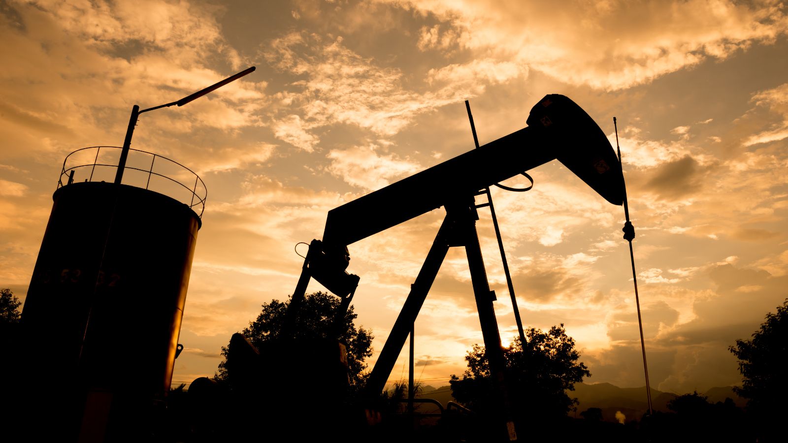 Oil costs are excessive but will be important worse, Trump has China’s Xi to thank for that
