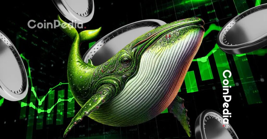 These 5 Altcoins Are Seeing the Biggest Whale Accumulation Appropriate Now