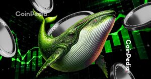 These 5 Altcoins Are Seeing the Biggest Whale Accumulation Appropriate Now
