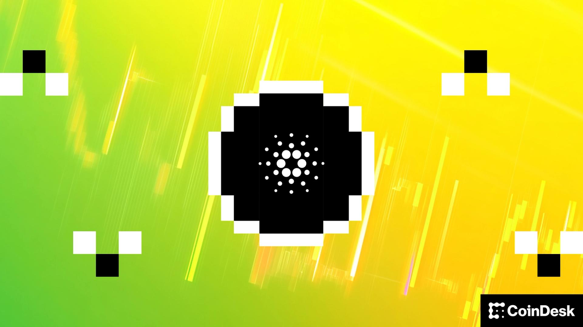Cardano’s ADA leads beneficial properties in slim vary-certain market
